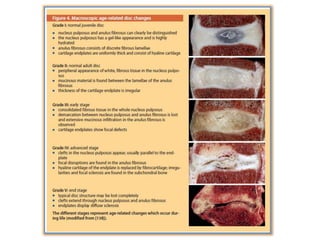 Surgery 6th year, Tutorial (Dr. Khalid Shokor Mahmood)