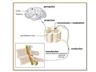 Surgery 6th year, Tutorial (Dr. Khalid Shokor Mahmood)