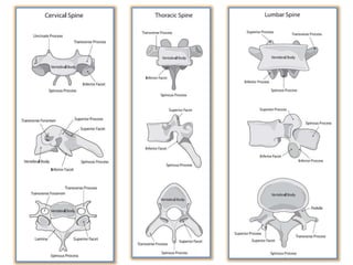 Surgery 6th year, Tutorial (Dr. Khalid Shokor Mahmood)