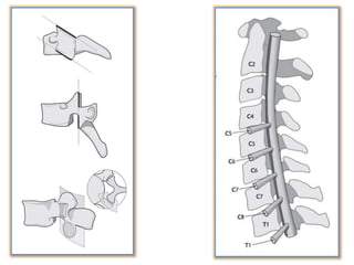 Surgery 6th year, Tutorial (Dr. Khalid Shokor Mahmood)