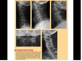 Surgery 6th year, Tutorial (Dr. Khalid Shokor Mahmood)