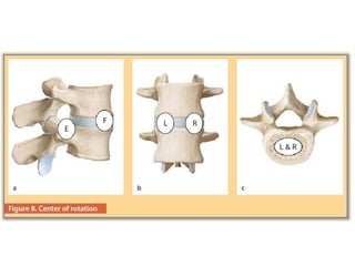Surgery 6th year, Tutorial (Dr. Khalid Shokor Mahmood)