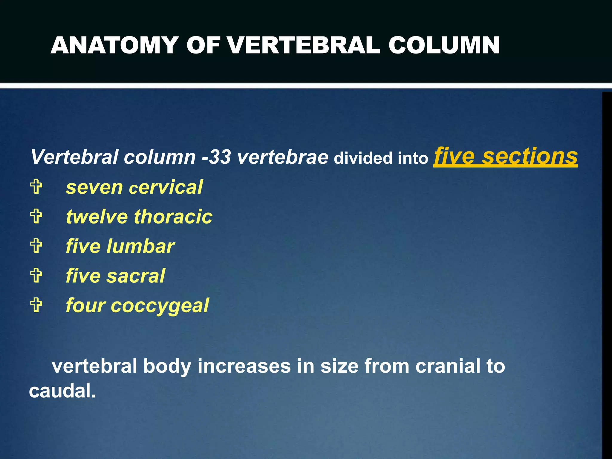 Cd Spine Example clinical Spine anatomy | PPT