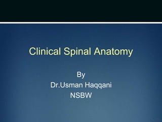 Clinical Spinal Anatomy
By
Dr.Usman Haqqani
NSBW
 