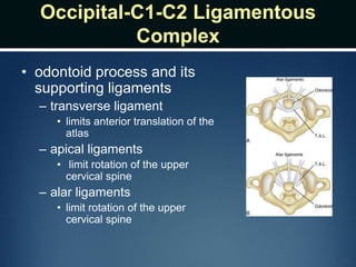 Occipital-C1-C2 Ligamentous
Complex
• odontoid process and its
supporting ligaments
– transverse ligament
• limits anterior translation of the
atlas
– apical ligaments
• limit rotation of the upper
cervical spine
– alar ligaments
• limit rotation of the upper
cervical spine
 