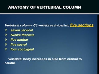 ANATOMY OF VERTEBRAL COLUMN
Vertebral column -33 vertebrae divided into five sections
 seven cervical
 twelve thoracic
 five lumbar
 five sacral
 four coccygeal
vertebral body increases in size from cranial to
caudal.
 