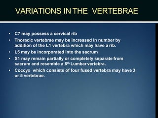 VARIATIONS IN THE VERTEBRAE
• C7 may possess a cervical rib
• Thoracic vertebrae may be increased in number by
addition of the L1 vertebra which may have a rib.
• L5 may be incorporated into the sacrum
• S1 may remain partially or completely separate from
sacrum and resemble a 6th Lumbar vertebra.
• Coccyx which consists of four fused vertebra may have 3
or 5 vertebrae.
 