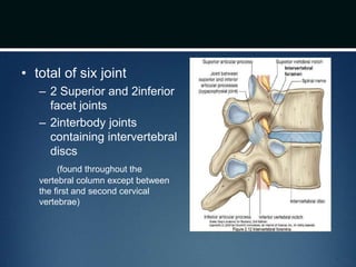 • total of six joint
– 2 Superior and 2inferior
facet joints
– 2interbody joints
containing intervertebral
discs
(found throughout the
vertebral column except between
the first and second cervical
vertebrae)
 