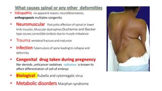 • Iidiopathic no apparent reason, neurofibromatosis,
arthogryposis multiplex congenita
• Neuromuscular Post polio affection of spinal or lower
limb muscles ,Musculer dystrophies Duchenne and Becker
type couses correctible lordosis due to muscle imbalance
• Trauma vertebral fracture and malunion
• InfectionTuberculosis of spine leading to collapse and
deformity
• Congenital drug taken during pregnency
like steroids ,anticancer sedatives is known to
affect differentiation of cell of embryo
• Biological Rubella and cytomegalic virus
• Metabolic disorders Marphan syndrome
 