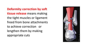 Deformity correction by soft
tissue release means making
the tight muscles or ligament
freed from bone attachments
to achieve correction or
lengthen them by making
appropriate cuts
 