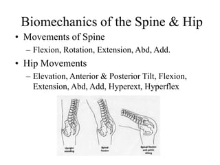 Biomechanics of the Spine & Hip
• Movements of Spine
– Flexion, Rotation, Extension, Abd, Add.
• Hip Movements
– Elevation, Anterior & Posterior Tilt, Flexion,
Extension, Abd, Add, Hyperext, Hyperflex
 