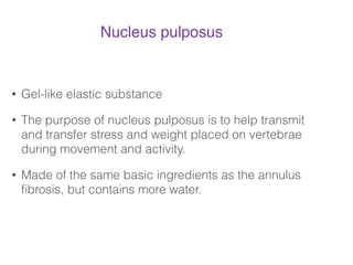 Nucleus pulposus
!
• Gel-like elastic substance
• The purpose of nucleus pulposus is to help transmit
and transfer stress and weight placed on vertebrae
during movement and activity.
• Made of the same basic ingredients as the annulus
ﬁbrosis, but contains more water.
!
 