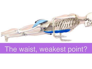 The waist, weakest point?
 