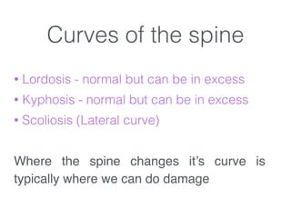 Curves of the spine
• Lordosis - normal but can be in excess
• Kyphosis - normal but can be in excess
• Scoliosis (Lateral curve)
!
Where the spine changes it’s curve is
typically where we can do damage
 