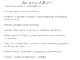 • Large triangular bone - 5 fused bones
• Joint between the sacrum and illiim
• Transmits forces from the upper limbs and spine to the hip joints
and lower limbs
• Articular surfaces, hyaline cartilage
• muscles inﬂuence the movements + stability of the SI joint
• Anterior posterior SI joint ligaments provide further stability and
compression
• Due to the boney position position, muscles and strong ligaments
the SI is pretty stable
• Allows for small movements - Nutation and counternutation
• Nutation = stable counternution = unstable
Sacrum and SI joint
 