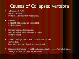 radiology.Spine 1.(dr.ameer) | PPT