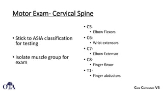 Spine 1 Physical Exam of the spine orthopaedy | PDF
