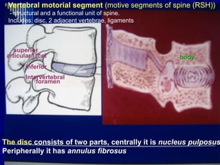 The disc consists of two parts, centrally it is nucleus pulposus
Peripherally it has annulus fibrosus
Vertebral motorial segment (motive segments of spine (RSH))
- structural and a functional unit of spine.
Includes: disc, 2 adjacent vertebrae, ligaments
foramen
bodyarticular facet
inferior
superior
Intervertebral
 