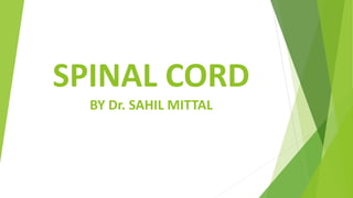 SPINAL CORD
BY Dr. SAHIL MITTAL
 