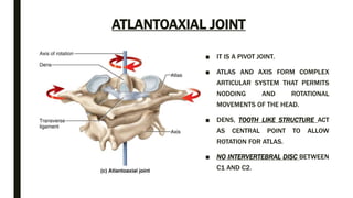 Spine anatomy and xray of spine ppt by Dr Pratik | PPTX