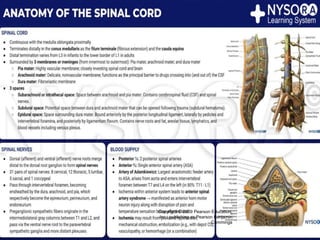 ANATOMY OF SPINE AND SPINAL CORD ppt | PPTX