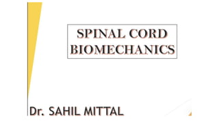 Spine Biomechanics