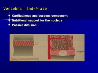 Vertebral End-PlateVertebral End-Plate
 Cartilaginous and osseous componentCartilaginous and osseous component
 Nutritional support for the nucleusNutritional support for the nucleus
 Passive diffusionPassive diffusion
 