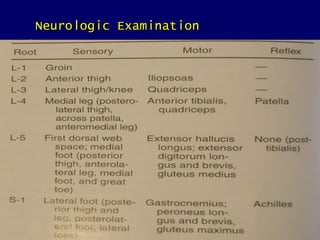 Neurologic ExaminationNeurologic Examination
 