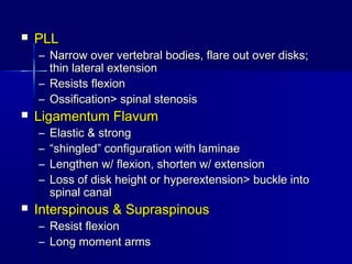  PLLPLL
– Narrow over vertebral bodies, flare out over disks;Narrow over vertebral bodies, flare out over disks;
thin lateral extensionthin lateral extension
– Resists flexionResists flexion
– Ossification> spinal stenosisOssification> spinal stenosis
 Ligamentum FlavumLigamentum Flavum
– Elastic & strongElastic & strong
– ““shingled” configuration with laminaeshingled” configuration with laminae
– Lengthen w/ flexion, shorten w/ extensionLengthen w/ flexion, shorten w/ extension
– Loss of disk height or hyperextension> buckle intoLoss of disk height or hyperextension> buckle into
spinal canalspinal canal
 Interspinous & SupraspinousInterspinous & Supraspinous
– Resist flexionResist flexion
– Long moment armsLong moment arms
 
