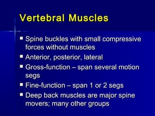 Vertebral MusclesVertebral Muscles
 Spine buckles with small compressiveSpine buckles with small compressive
forces without musclesforces without muscles
 Anterior, posterior, lateralAnterior, posterior, lateral
 Gross-function – span several motionGross-function – span several motion
segssegs
 Fine-function – span 1 or 2 segsFine-function – span 1 or 2 segs
 Deep back muscles are major spineDeep back muscles are major spine
movers; many other groupsmovers; many other groups
 