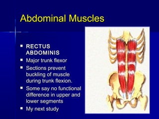 Abdominal MusclesAbdominal Muscles
 RECTUSRECTUS
ABDOMINISABDOMINIS
 Major trunk flexorMajor trunk flexor
 Sections preventSections prevent
buckling of musclebuckling of muscle
during trunk flexion.during trunk flexion.
 Some say no functionalSome say no functional
difference in upper anddifference in upper and
lower segmentslower segments
 My next studyMy next study
 