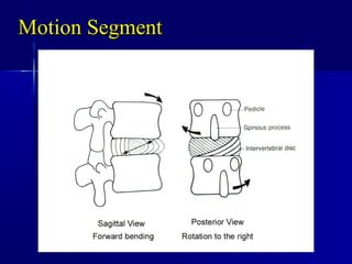 Motion SegmentMotion Segment
 