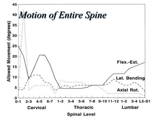 Motion of Entire SpineMotion of Entire Spine
 