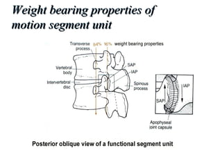 Weight bearing properties ofWeight bearing properties of
motion segment unitmotion segment unit
 