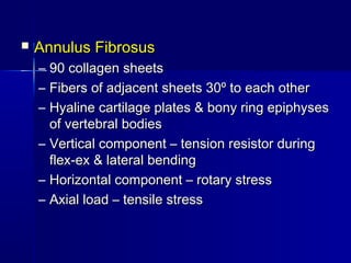  Annulus FibrosusAnnulus Fibrosus
– 90 collagen sheets90 collagen sheets
– Fibers of adjacent sheets 30º to each otherFibers of adjacent sheets 30º to each other
– Hyaline cartilage plates & bony ring epiphysesHyaline cartilage plates & bony ring epiphyses
of vertebral bodiesof vertebral bodies
– Vertical component – tension resistor duringVertical component – tension resistor during
flex-ex & lateral bendingflex-ex & lateral bending
– Horizontal component – rotary stressHorizontal component – rotary stress
– Axial load – tensile stressAxial load – tensile stress
 