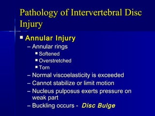 Pathology of Intervertebral DiscPathology of Intervertebral Disc
InjuryInjury
 Annular InjuryAnnular Injury
– Annular ringsAnnular rings
 SoftenedSoftened
 OverstretchedOverstretched
 TornTorn
– Normal viscoelasticity is exceededNormal viscoelasticity is exceeded
– Cannot stabilize or limit motionCannot stabilize or limit motion
– Nucleus pulposus exerts pressure onNucleus pulposus exerts pressure on
weak partweak part
– Buckling occurs -Buckling occurs - Disc BulgeDisc Bulge
 