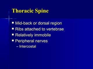 Thoracic SpineThoracic Spine
 Mid-back or dorsal regionMid-back or dorsal region
 Ribs attached to vertebraeRibs attached to vertebrae
 Relatively immobileRelatively immobile
 Peripheral nervesPeripheral nerves
– IntercostalIntercostal
 