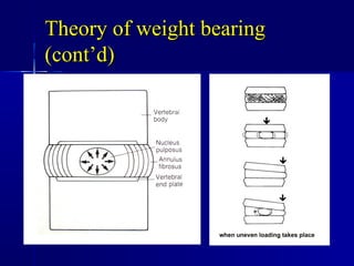 Theory of weight bearingTheory of weight bearing
(cont’d)(cont’d)
 