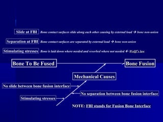 Mechanical CausesMechanical Causes
Biological CausesBiological Causes
Stimulating stressesStimulating stresses
No slide between bone fusion interfaceNo slide between bone fusion interface
No separation between bone fusion interfaceNo separation between bone fusion interface
OsteoinductionOsteoinduction
Blood supplyBlood supply
OsteoconductionOsteoconduction
NOTE: FBI stands for Fusion Bone Interface
OsteoinductionOsteoinduction The ability to mediate the induction of osteosis exceptionally in a nonbony location
OsteoconductionOsteoconduction The ability to act as a scaffold for new osteosis in a bony environment
Blood supplyBlood supply Provide sufficient nutrition for osteosisStimulating stressesStimulating stresses Bone is laid down where needed and resorbed where not needed  Wolff’s lawWolff’s law
Separation at FBISeparation at FBI Bone contact surfaces are separated by external load  bone non-union
Slide at FBISlide at FBI Bone contact surfaces slide along each other causing by external load  bone non-union
Bone To Be FusedBone To Be Fused Bone FusionBone FusionBone FusionBone Fusion
 