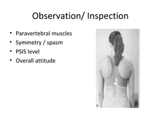 Spine clinical approach (basic spine 2009) | PPT