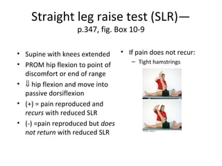 Spine clinical approach (basic spine 2009) | PPT