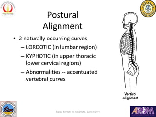 Postural
Alignment
• 2 naturally occurring curves
– LORDOTIC (in lumbar region)
– KYPHOTIC (in upper thoracic
lower cervic...