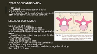 Spine dysraphism | PPTX