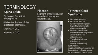Defective Csd Examples Spine dysraphism | PPTX