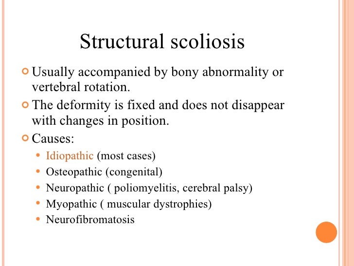 Spine Examination And Scoliosis