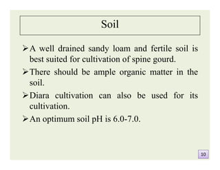 Soil
A well drained sandy loam and fertile soil is
best suited for cultivation of spine gourd.
There should be ample organic matter in the
soil.
Diara cultivation can also be used for its
cultivation.
An optimum soil pH is 6.0-7.0.
A well drained sandy loam and fertile soil is
best suited for cultivation of spine gourd.
There should be ample organic matter in the
soil.
Diara cultivation can also be used for its
cultivation.
An optimum soil pH is 6.0-7.0.
1010
 