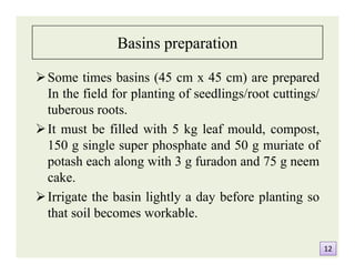Basins preparation
Some times basins (45 cm x 45 cm) are prepared
In the field for planting of seedlings/root cuttings/
tuberous roots.
It must be filled with 5 kg leaf mould, compost,
150 g single super phosphate and 50 g muriate of
potash each along with 3 g furadon and 75 g neem
cake.
Irrigate the basin lightly a day before planting so
that soil becomes workable.
Some times basins (45 cm x 45 cm) are prepared
In the field for planting of seedlings/root cuttings/
tuberous roots.
It must be filled with 5 kg leaf mould, compost,
150 g single super phosphate and 50 g muriate of
potash each along with 3 g furadon and 75 g neem
cake.
Irrigate the basin lightly a day before planting so
that soil becomes workable.
1212
 