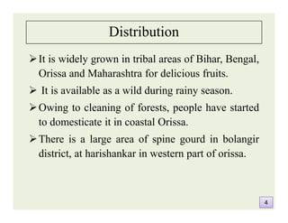 Distribution
It is widely grown in tribal areas of Bihar, Bengal,
Orissa and Maharashtra for delicious fruits.
 It is available as a wild during rainy season.
Owing to cleaning of forests, people have started
to domesticate it in coastal Orissa.
There is a large area of spine gourd in bolangir
district, at harishankar in western part of orissa.
It is widely grown in tribal areas of Bihar, Bengal,
Orissa and Maharashtra for delicious fruits.
 It is available as a wild during rainy season.
Owing to cleaning of forests, people have started
to domesticate it in coastal Orissa.
There is a large area of spine gourd in bolangir
district, at harishankar in western part of orissa.
44
 
