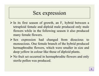 Sex expression
 In its first season of growth, an F1 hybrid between a
tetraploid female and diploid male produced only male
flowers while in the following season it also produced
many female flowers.
 Sex expression had changed from dioecious to
monoecious. One female branch of the hybrid produced
hermaphrodite flowers, which were smaller in size and
deep yellow in colour like those of diploid plants.
 No fruit set occurred in hermaphrodite flowers and only
sterile pollen was produced.
 In its first season of growth, an F1 hybrid between a
tetraploid female and diploid male produced only male
flowers while in the following season it also produced
many female flowers.
 Sex expression had changed from dioecious to
monoecious. One female branch of the hybrid produced
hermaphrodite flowers, which were smaller in size and
deep yellow in colour like those of diploid plants.
 No fruit set occurred in hermaphrodite flowers and only
sterile pollen was produced.
66
 