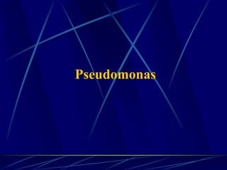 Pseudomonas
 